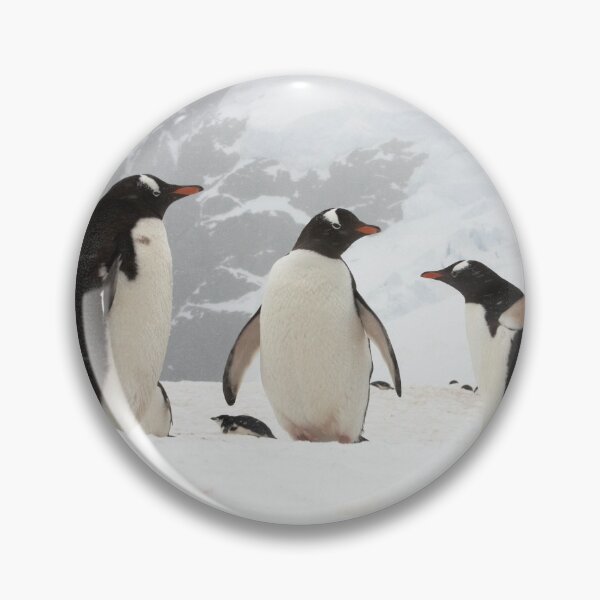 Item preview, Gentoo Penguins ~ "Our World" designed and sold by Robert Elliott.