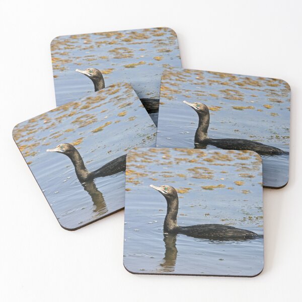 Item preview, Little Black Cormorant designed and sold by Robert Elliott.