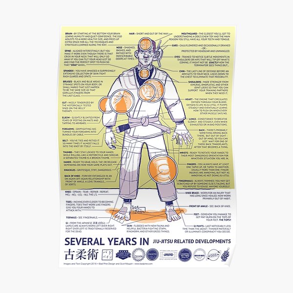 BJJ - Several Years In - Yellow Poster