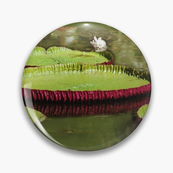 Item preview, Amazon Water Lilies designed and sold by Carole-Anne.