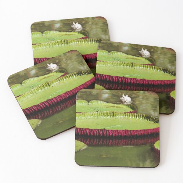 Item preview, Amazon Water Lilies designed and sold by Carole-Anne.