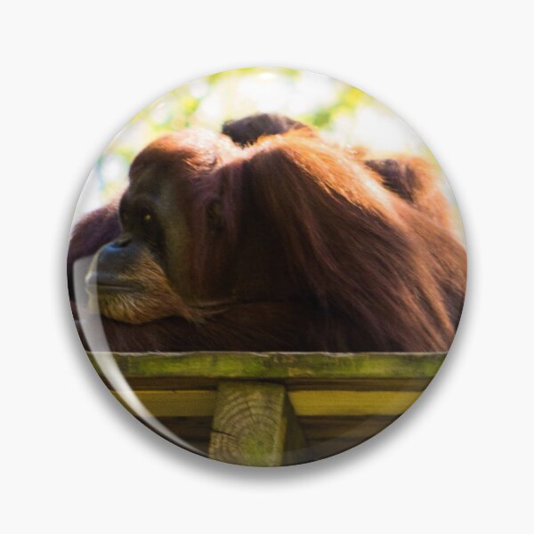 Artikelvorschau, Atlanta Wildlife 12 entworfen und verkauft von rebeccaholbrook.