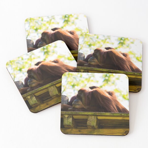 Item preview, Atlanta Wildlife 12 designed and sold by rebeccaholbrook.