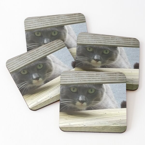 Item preview, Barn cat Peeking through fence  designed and sold by KatyChristoff.