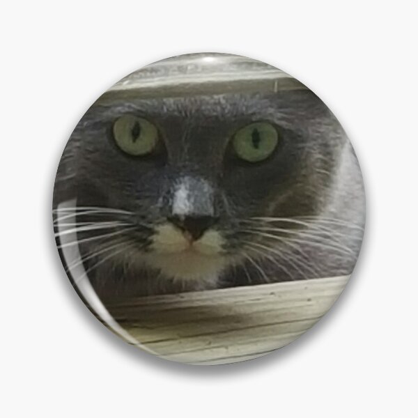 Item preview, Barn cat Peeking through fence  designed and sold by KatyChristoff.