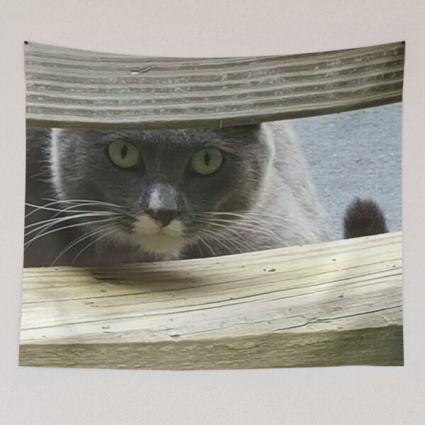 Item preview, Barn cat Peeking through fence  designed and sold by KatyChristoff.