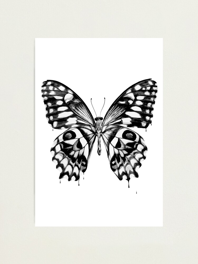 Alternate view of Black butterfly Photographic Print