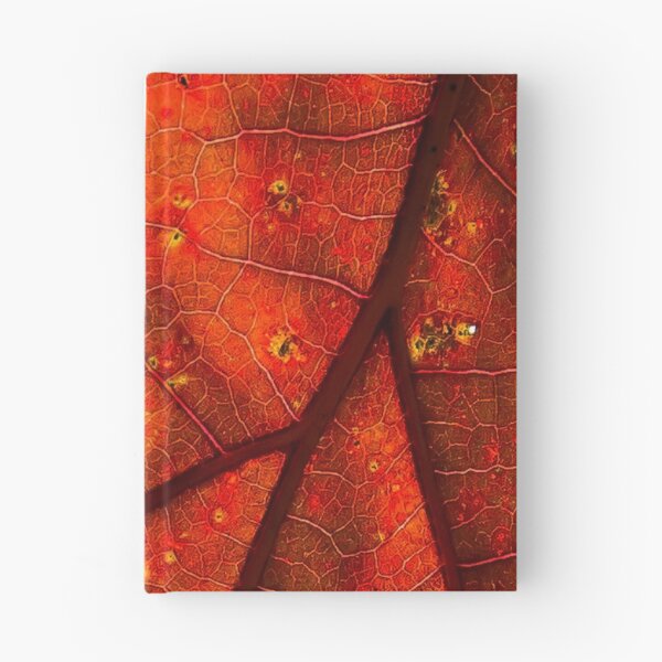 Item preview, Autumns Color designed and sold by Tom Gotzy.