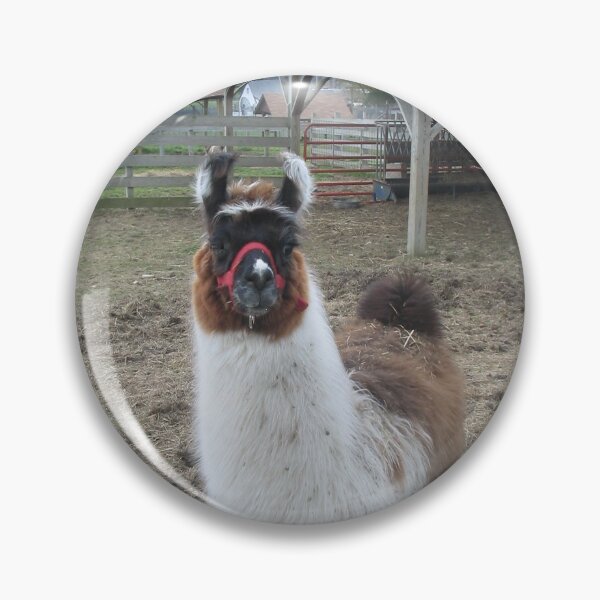 Item preview, Lama on saltvile Virginia farm designed and sold by KatyChristoff.