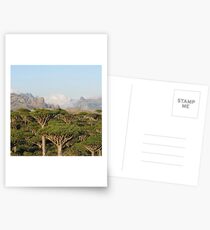 SOCOTRA, YEMEN Postcards