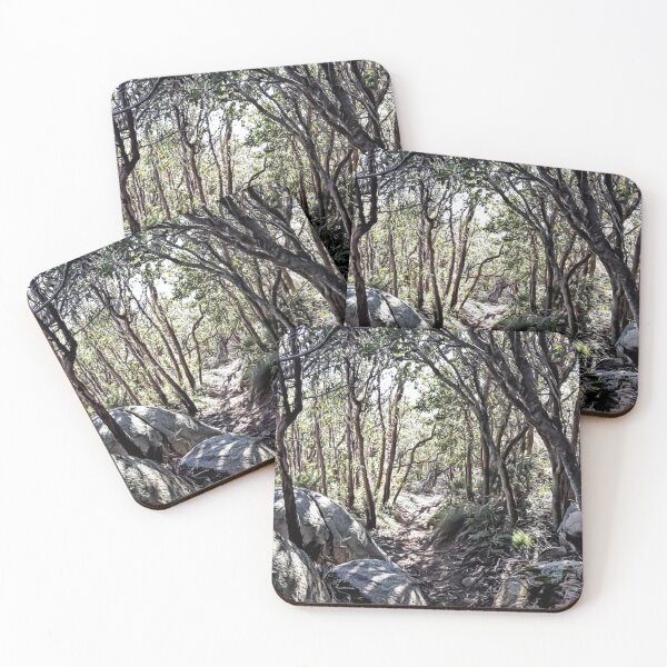 Item preview, Albany Tree Lined Walk designed and sold by IanBiAM.