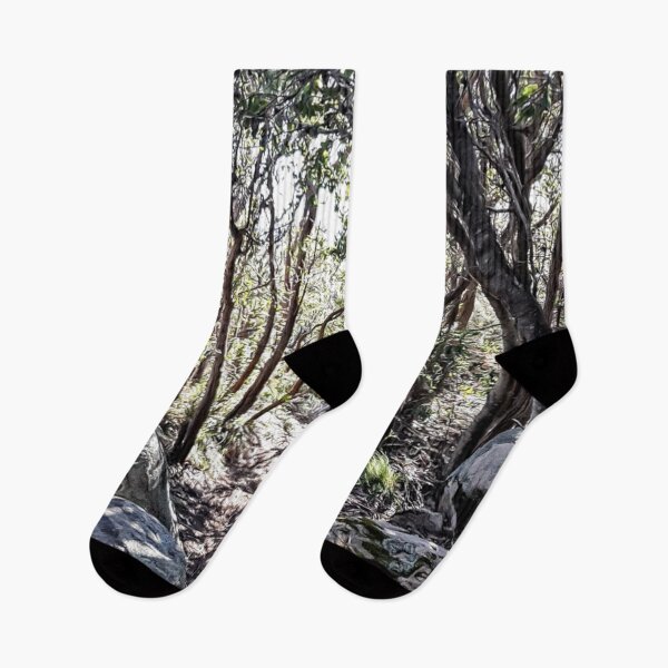 Item preview, Albany Tree Lined Walk designed and sold by IanBiAM.