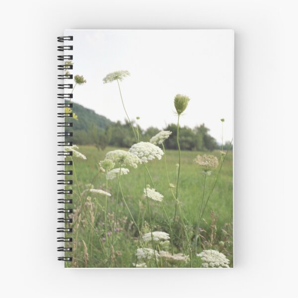 Item preview, Queen Anne's Lace - Lomo Belair Photograph designed and sold by ztrnorge.