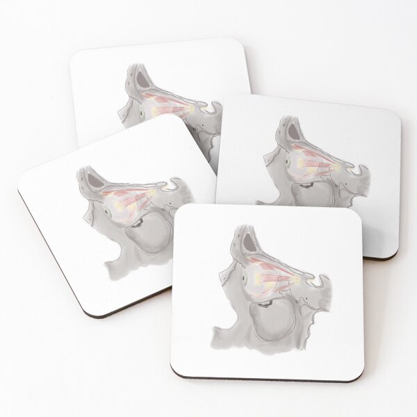 Item preview, Eye muscles diagram  designed and sold by nehakhushalani.