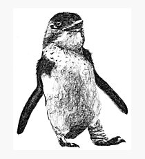 Ink Penguin Photographic Print