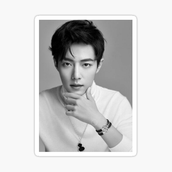 Xiao Zhan Sticker