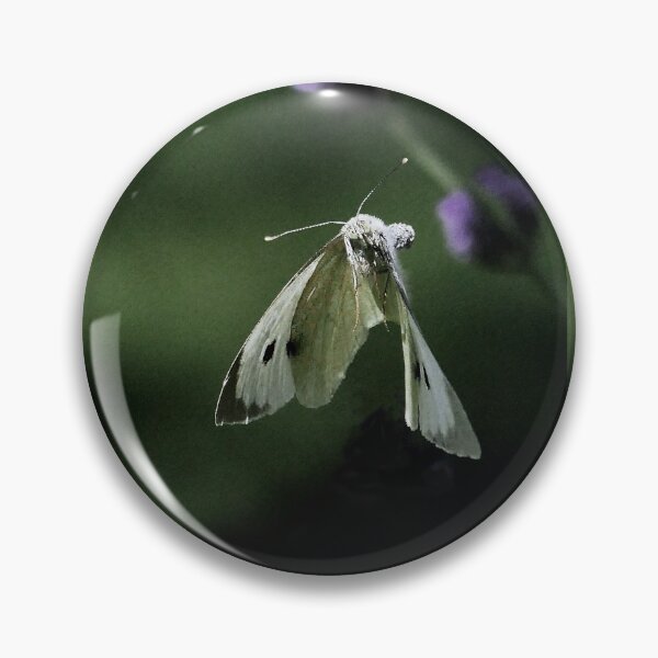Item preview, New Finition 2020  r1569/  The Star : unusual flight of a butterfly 6 (c)(h) by Olao-Olavia / Okaio Créations designed and sold by o.okaïo.