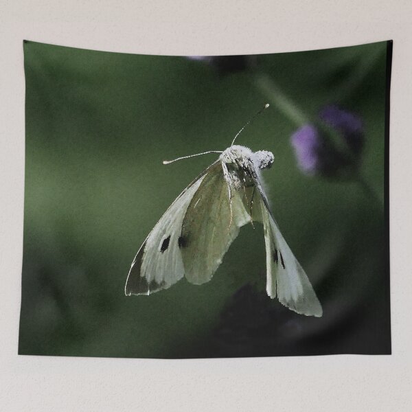 Item preview, New Finition 2020  r1569/  The Star : unusual flight of a butterfly 6 (c)(h) by Olao-Olavia / Okaio Créations designed and sold by o.okaïo.