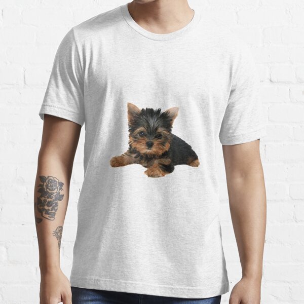 yorkie essentials