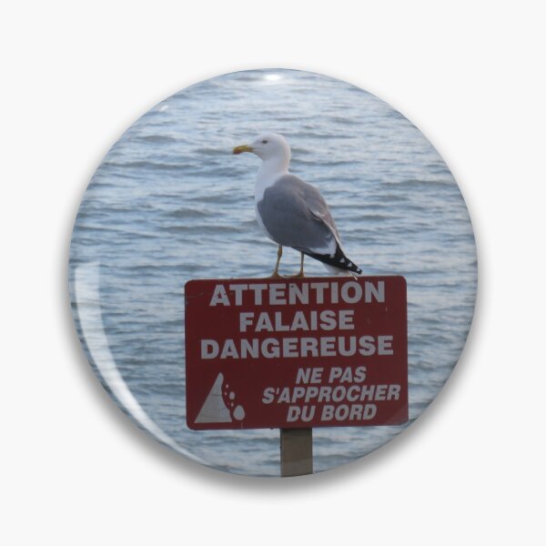 Item preview, Seagull Guarding the Sign designed and sold by Ann Biddlecombe.