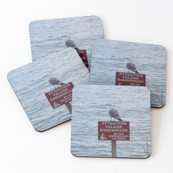 Item preview, Seagull Guarding the Sign designed and sold by Ann Biddlecombe.