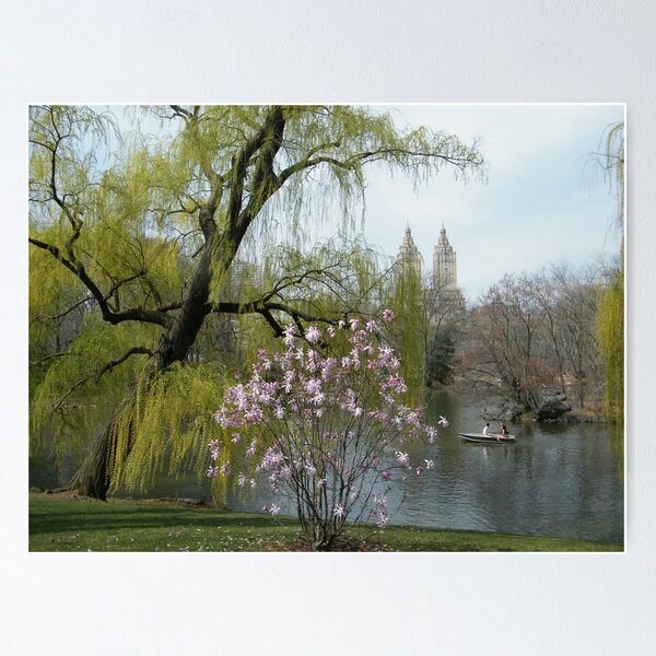 Item preview, Central Park, Spring Colors, New York designed and sold by lenspiro.