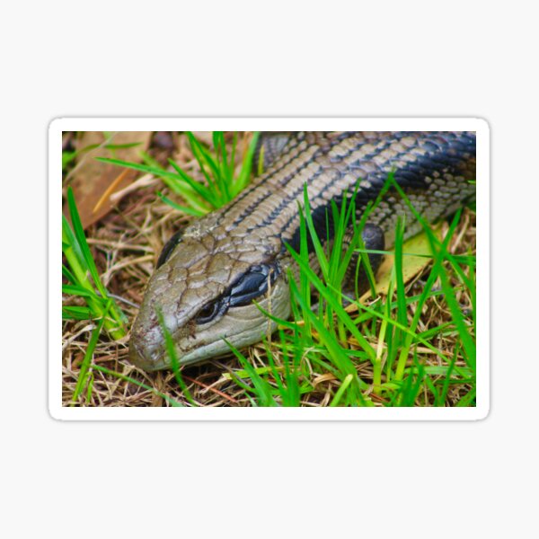 Item preview, Lizard in the Grass! designed and sold by Mickangelhere.