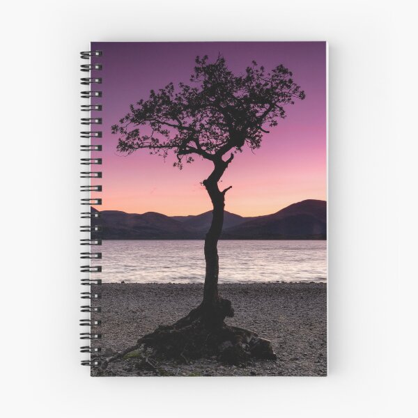 Item preview, Tree at Loch Lomond designed and sold by lyndsaymphoto.