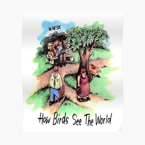 Far Side Posters Redbubble