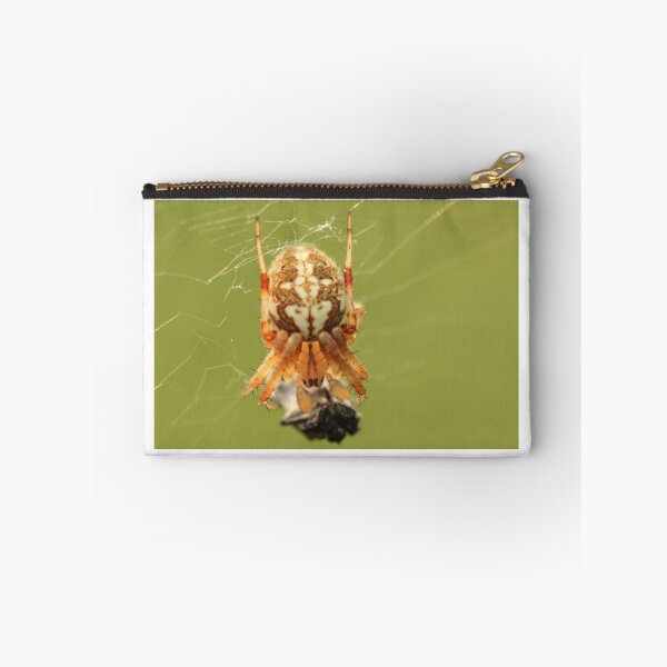 Aperçu de l'œuvre Spider and Prey créée et vendue par Gary Horner.