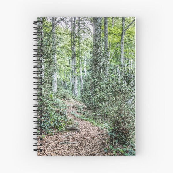 Item preview, Walking Through La Grevolosa (Sant Pere de Torelló, Catalonia) designed and sold by Marc Garrido Clotet.