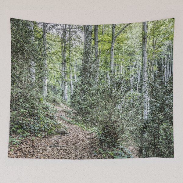 Item preview, Walking Through La Grevolosa (Sant Pere de Torelló, Catalonia) designed and sold by Marc Garrido Clotet.