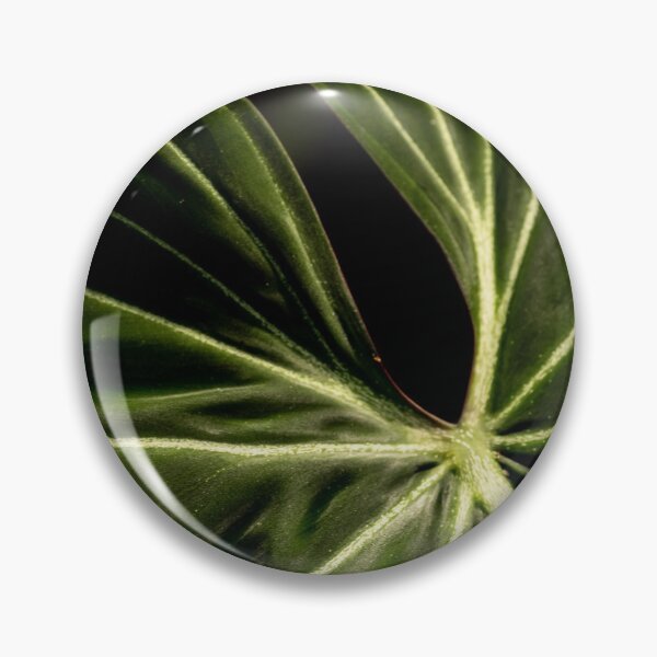 Item preview, leaf  designed and sold by lyndsaymphoto.