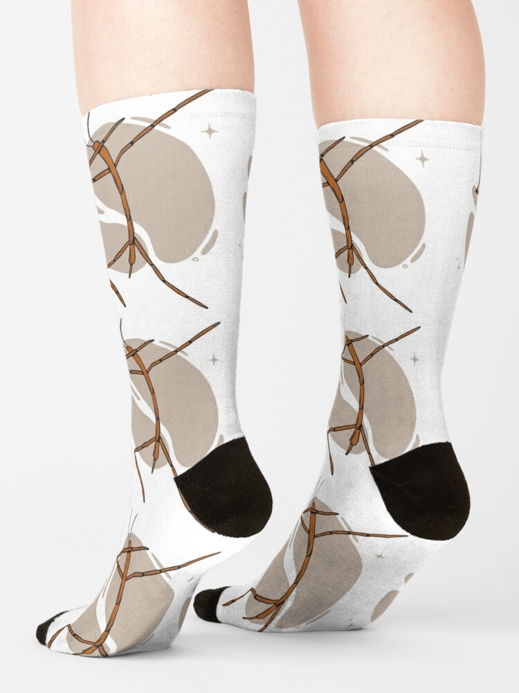 Discover Dancing stick insect | Socks