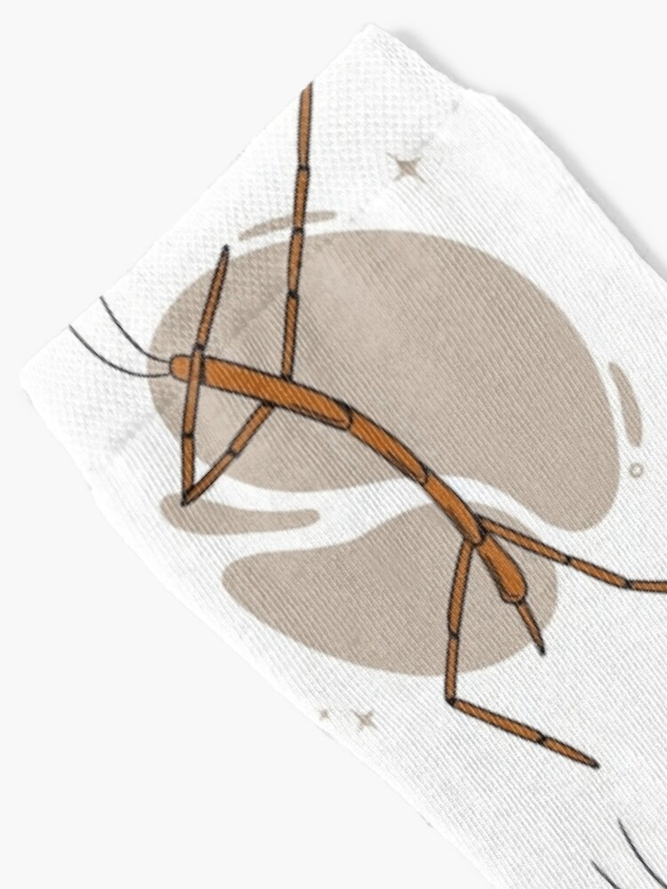 Disover Dancing stick insect | Socks