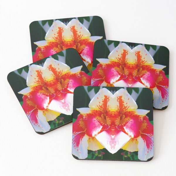 Item preview, Canna cleopatra- white flower with large petals spotted with red designed and sold by CSouissi.