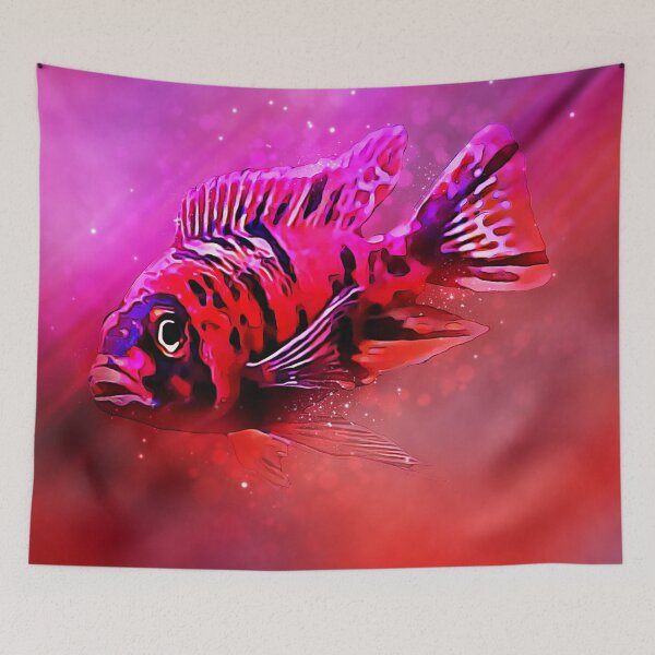 Item preview, OB Peacock Cichlid  designed and sold by GFishy.