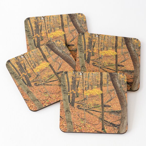 Item preview, Fall In Mann Wilderness 2 designed and sold by LynyrdSky.
