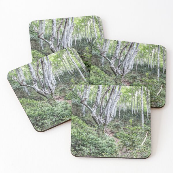 Item preview, Fageda de la Grevolosa (Catalonia) designed and sold by Marc Garrido Clotet.