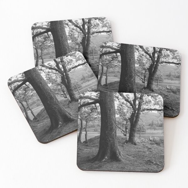 Item preview, Rydal water in the lake district black and white designed and sold by panoverse.