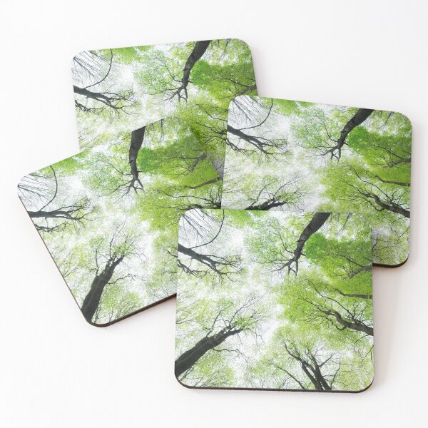 Item preview, Looking up in the forest designed and sold by panoverse.