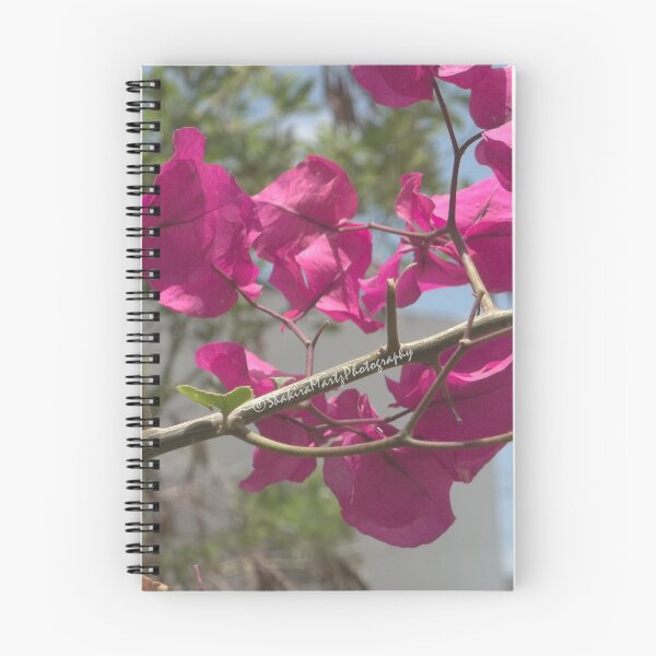 Item preview, A pop of color in NATURE designed and sold by ShakiraMartz.