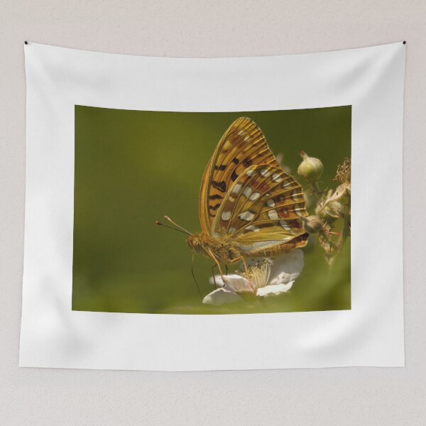 Item preview, High Brown Fritillary designed and sold by Neil Bygrave (NATURELENS).