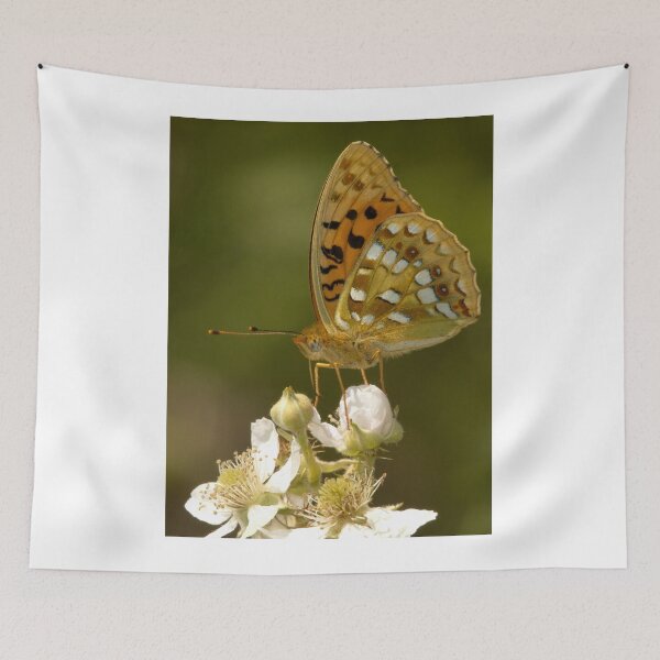 Item preview, High Brown Fritillary designed and sold by Neil Bygrave (NATURELENS).