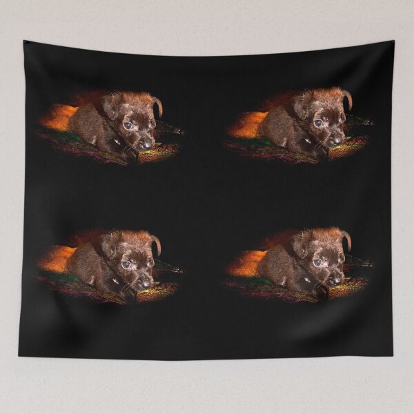Item preview, Chiquitita Was Lucky designed and sold by alabca.