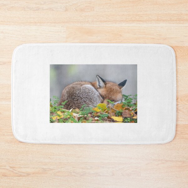 Item preview, Red Fox designed and sold by Steve Liptrot Photography.