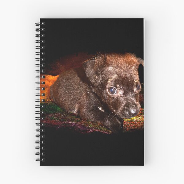 Item preview, Chiquitita Was Lucky designed and sold by alabca.