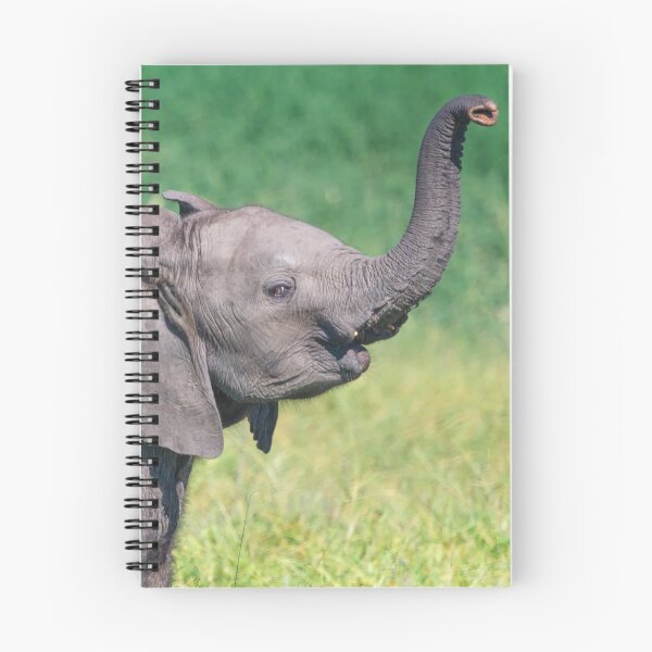 Item preview, Elephant Calf Greeting designed and sold by Owed To Nature.