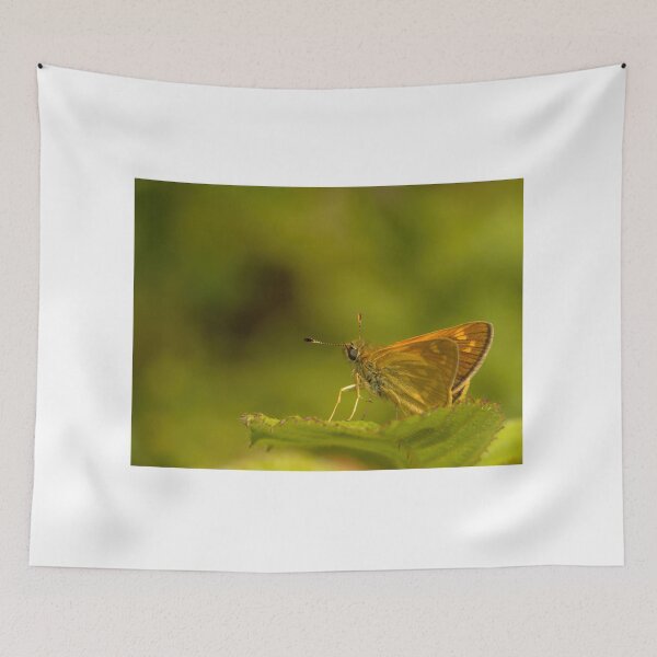 Item preview, Large Skipper Butterfly designed and sold by Neil Bygrave (NATURELENS).