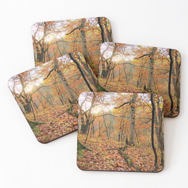 Item preview, Fall In Mann Wilderness 2 designed and sold by LynyrdSky.